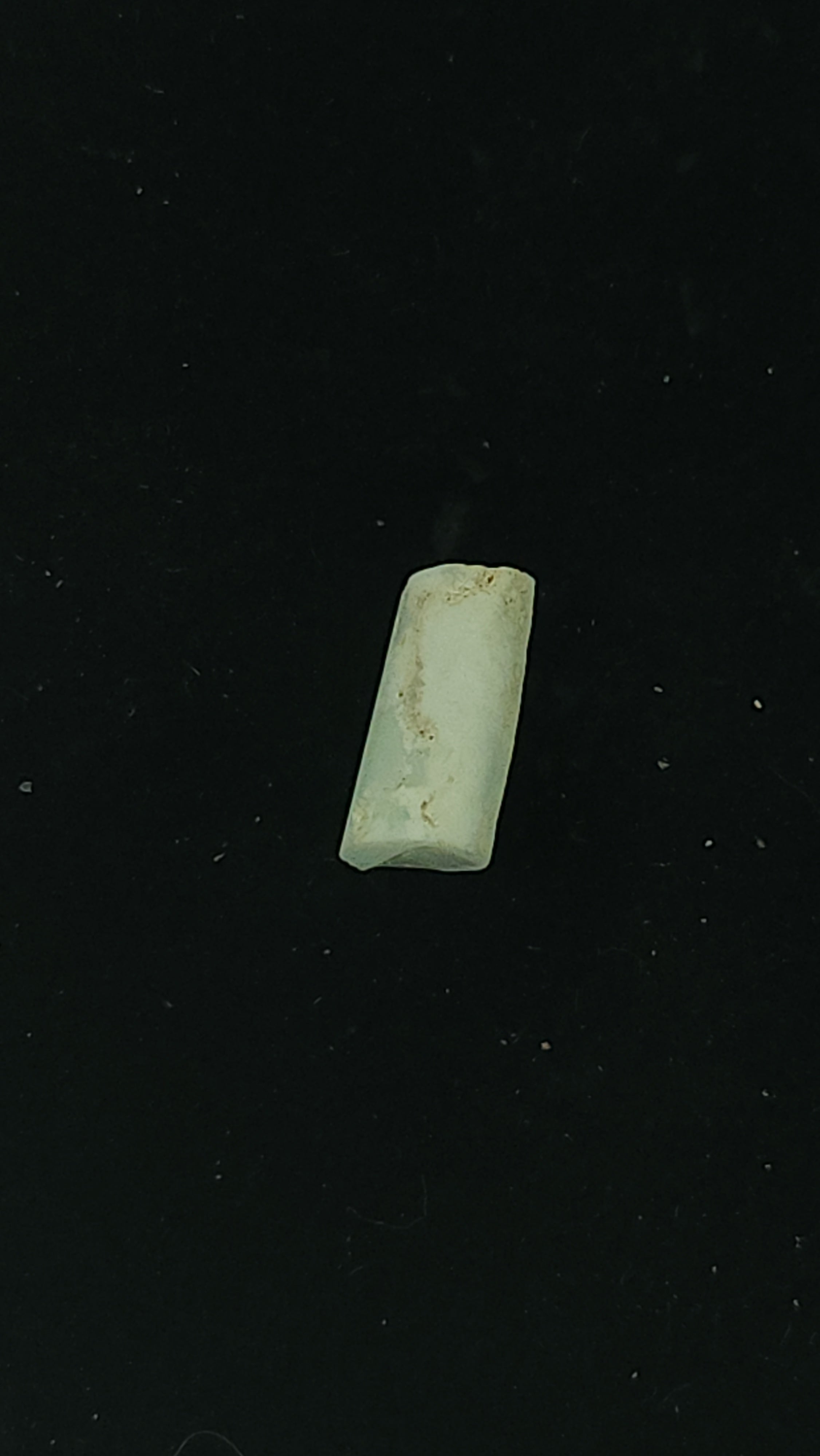 Australian opalised belemnite fragment