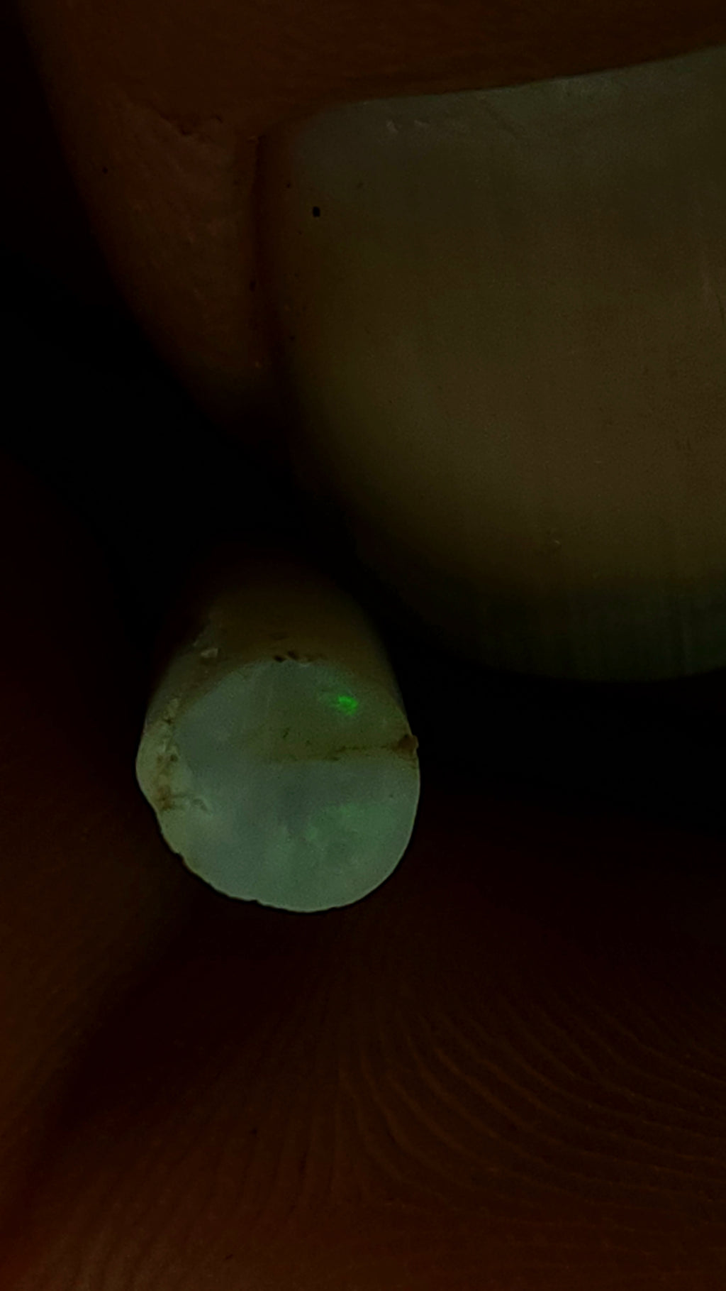 Australian opalised belemnite fragment