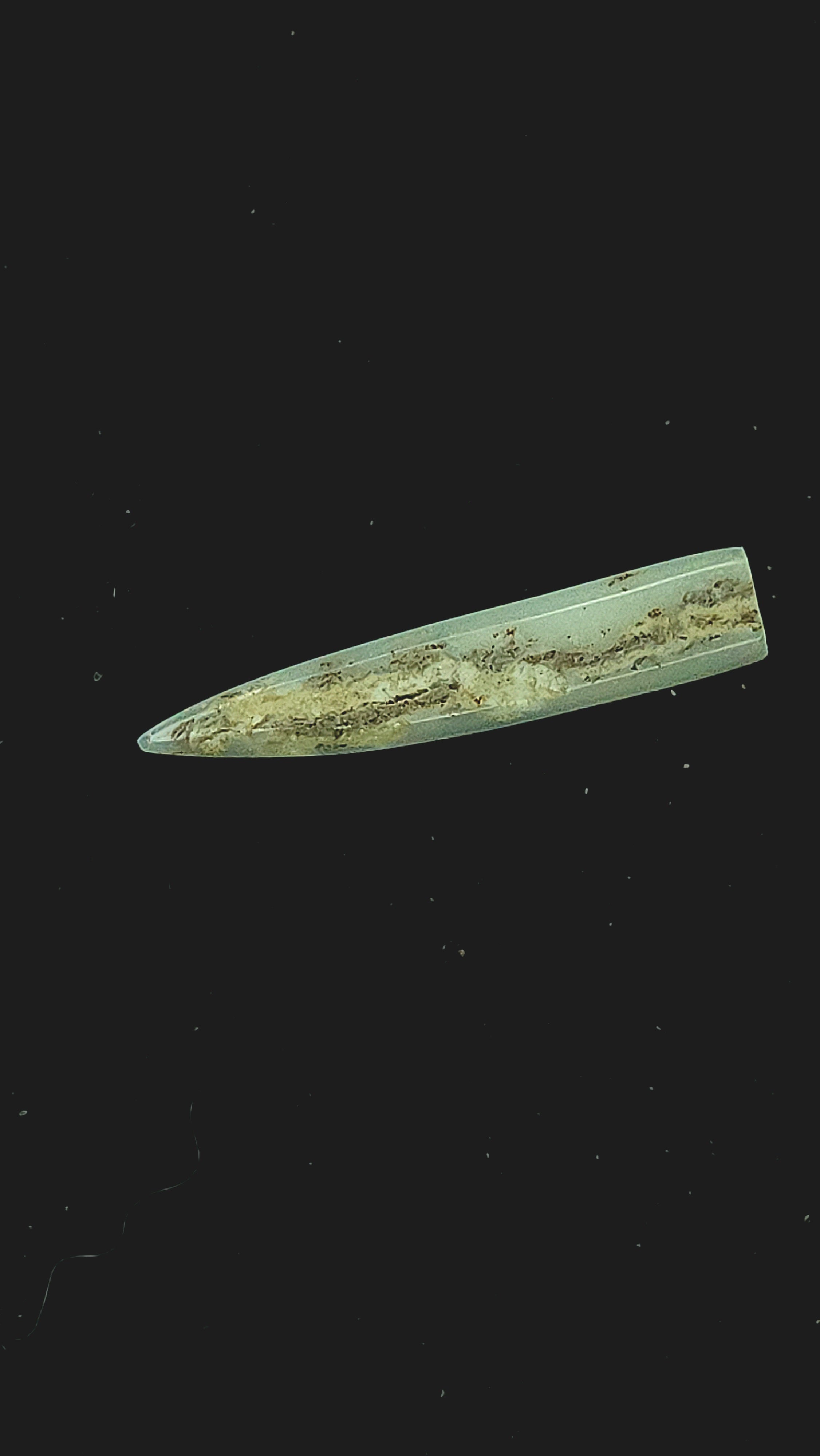 Opalised belemnite fragment