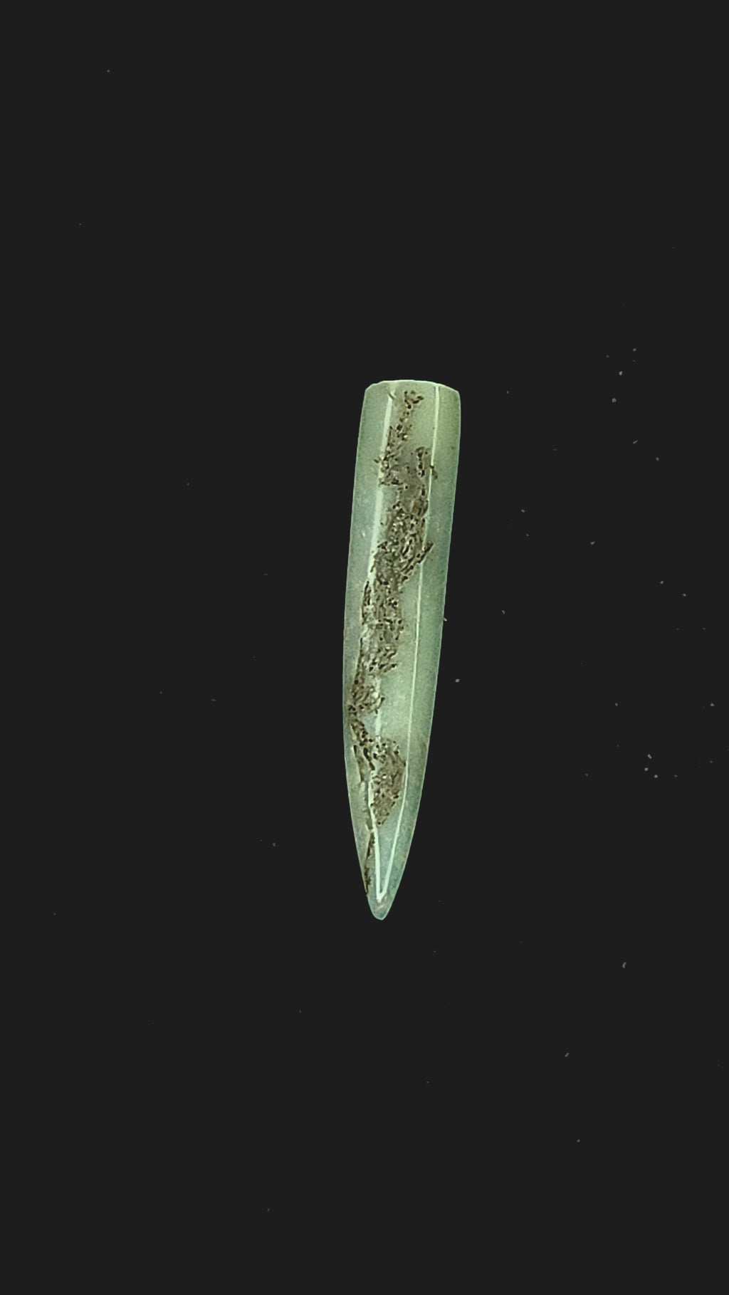 Opalised belemnite fragment