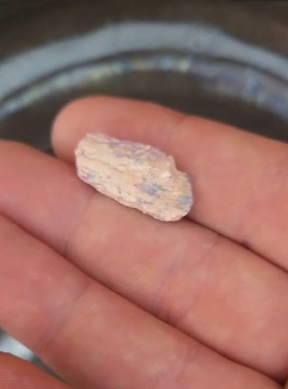Opalised Vegetation Fossil Lot