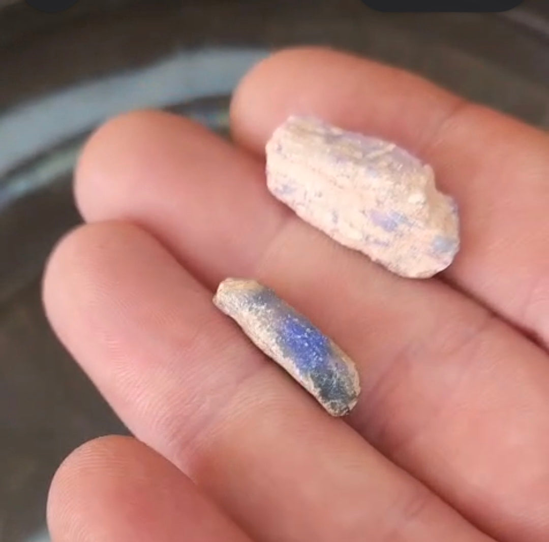 Opalised Vegetation Fossil Lot