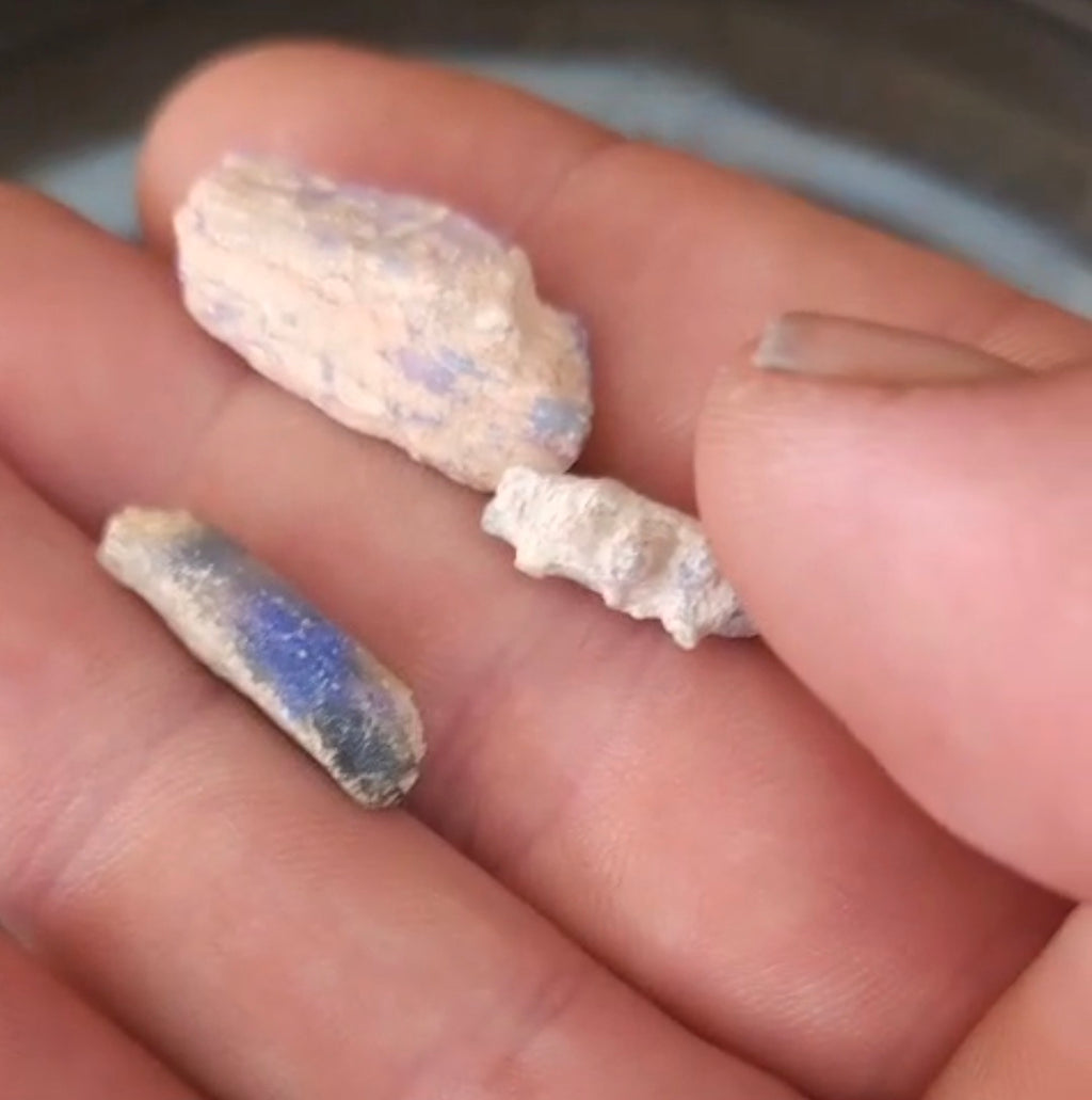 Opalised Vegetation Fossil Lot