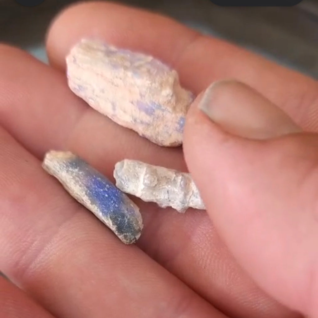 Opalised Vegetation Fossil Lot