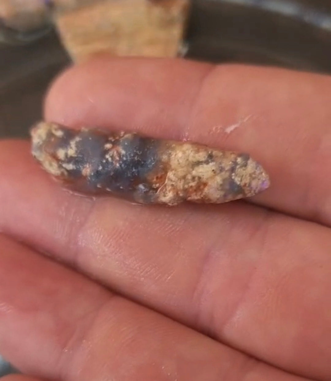 Australian Opalised Plant Fossil – Lightning Ridge.